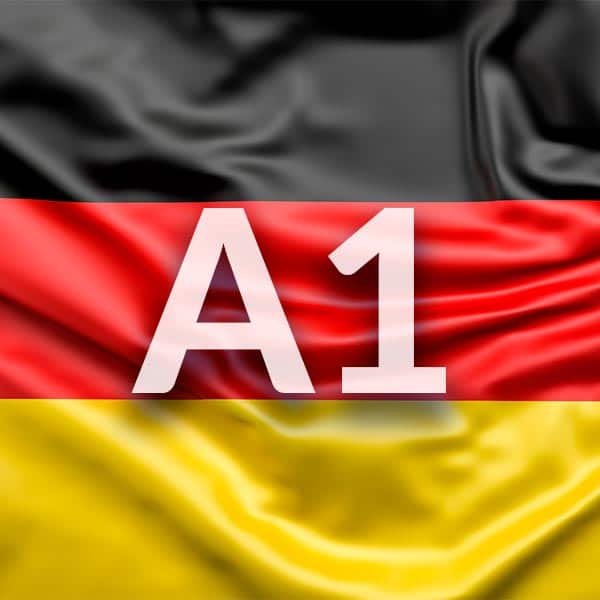 Alemany A1 amb certificat del Goethe Institut