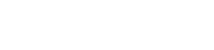 SOIB